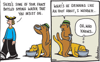 But one-use water bottles are wasteful